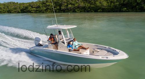 Boston Whaler 250 Dauntless karta techniczna i opinia